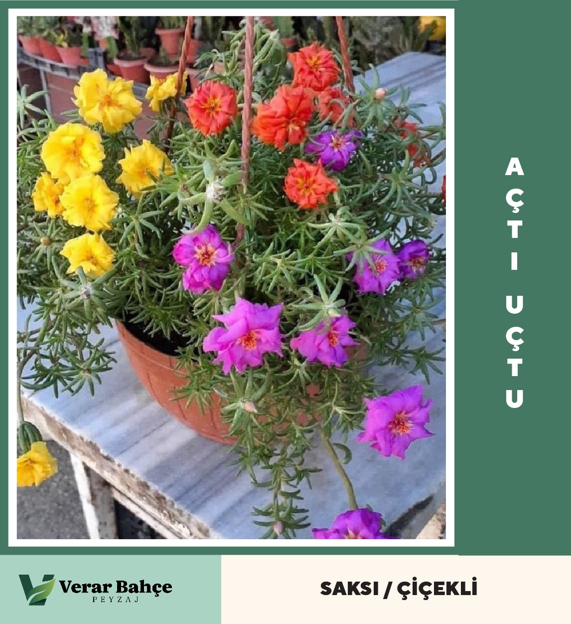 Açtı Uçtu