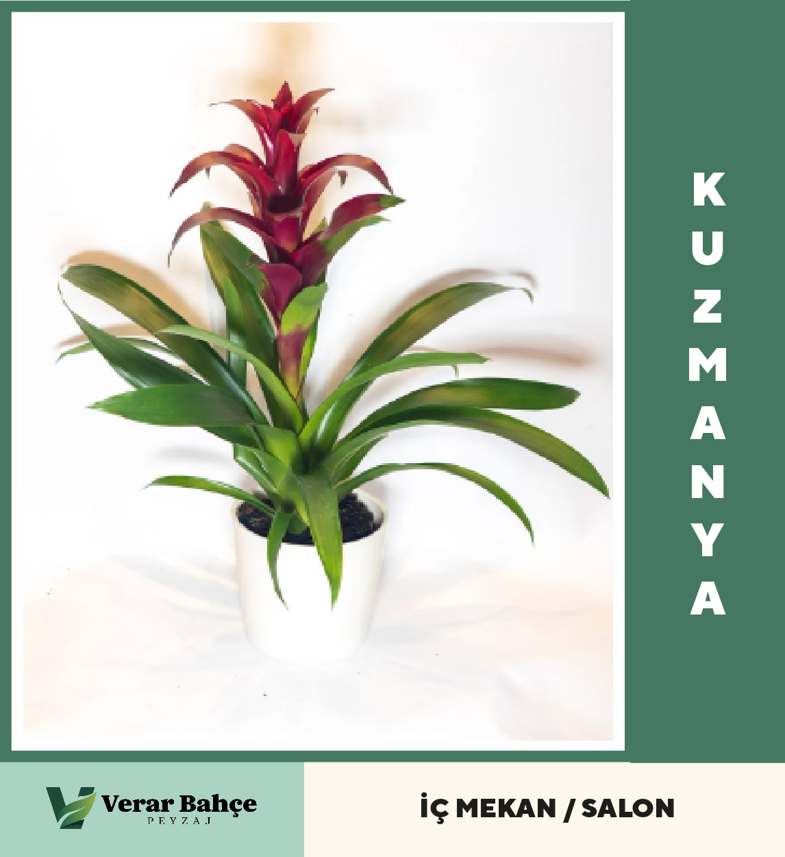 Kuzmanya