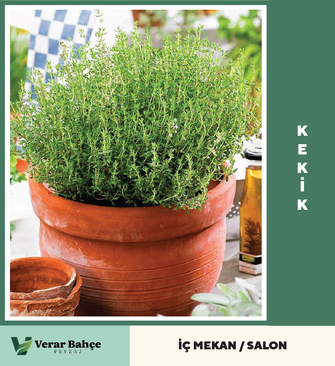 Kekik