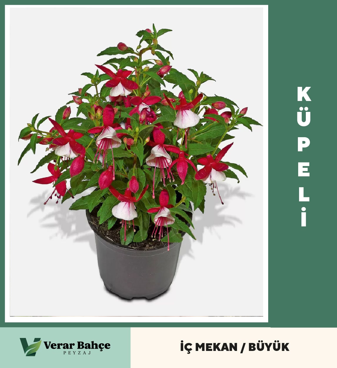 Küpeli